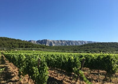 Provence Wine Tours - View from vineyard overlooking Sainte-Victoire mountain