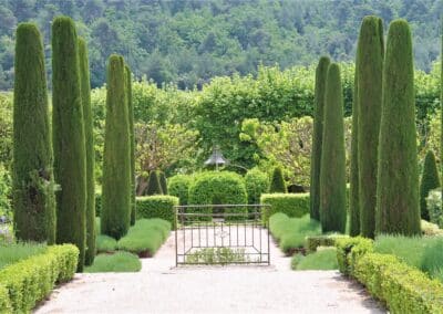 Provence Wine Tours - A “jardin remarquable” at Château Val Joanis, Lubéron