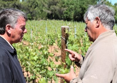 Provence Wine Tours - A winemaker talks about his wine in his vineyard