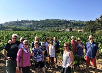Provence Wine Tours - Happy group on a wine tour inside the vineyard