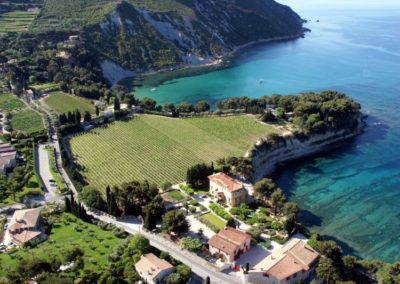 Provence Wine Tours - Cassis view on vineyard and sea