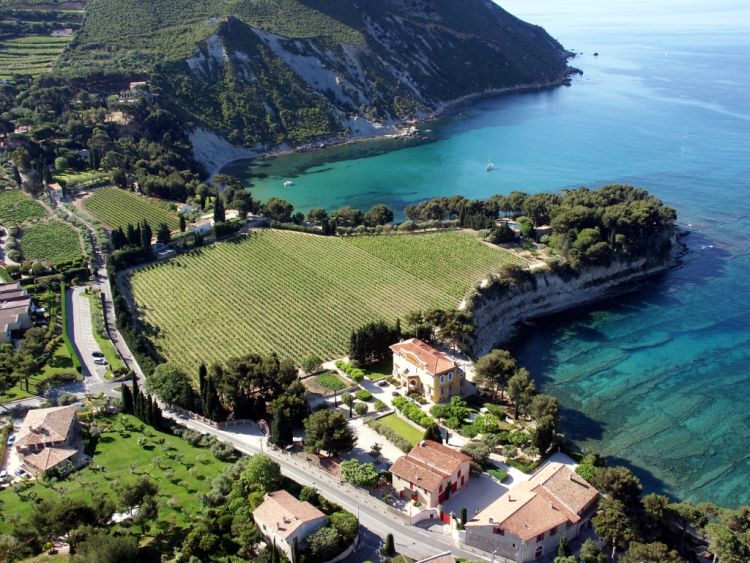 Provence Wine Tours - Cassis view on vineyard and sea