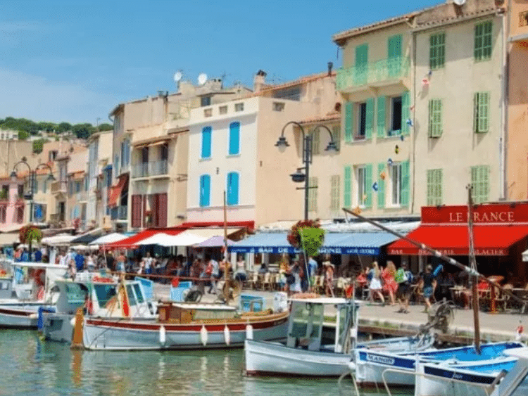 view-Cassis-sea and vinyards